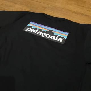 Áo Thun Logo Patagonia