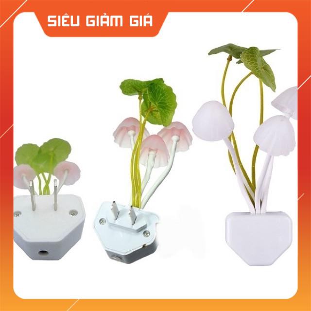 Đèn ngủ Led cảm biến ánh sáng hình Nấm