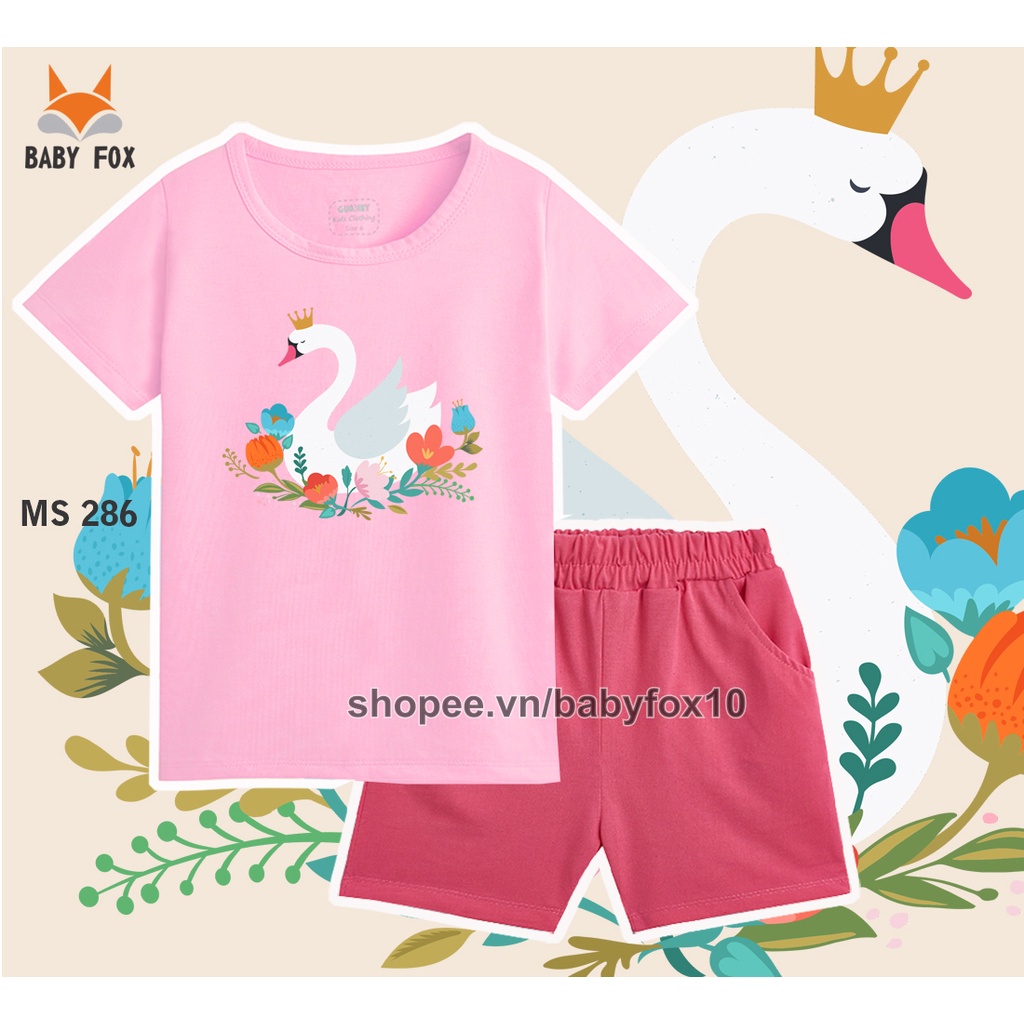 Bộ bé gái size nhỏ, trung, đại 100% cotton loại tốt, thương hiệu BABY FOX, hình thiên nga, kẹo 10-55 kg f