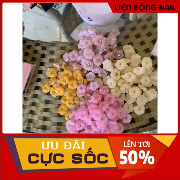 Hoa thanh lý