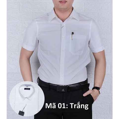 Áo sơ mi nam cao cấp hàng hiệu - somi ngắn tay công sở | BigBuy360 - bigbuy360.vn