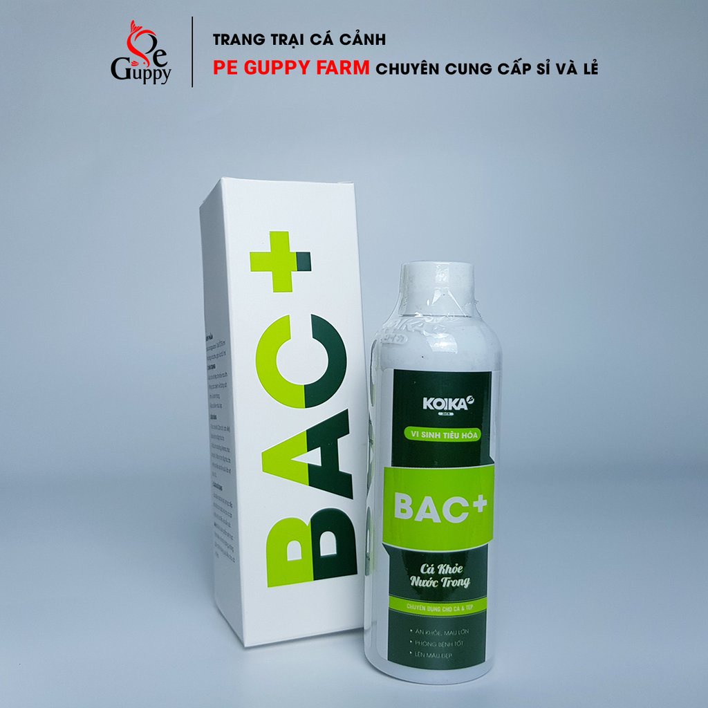KOIKA BAC+ - Vi sinh BAC+ vi sinh tiêu hóa chuyên dụng cho cá cảnh và tép cảnh