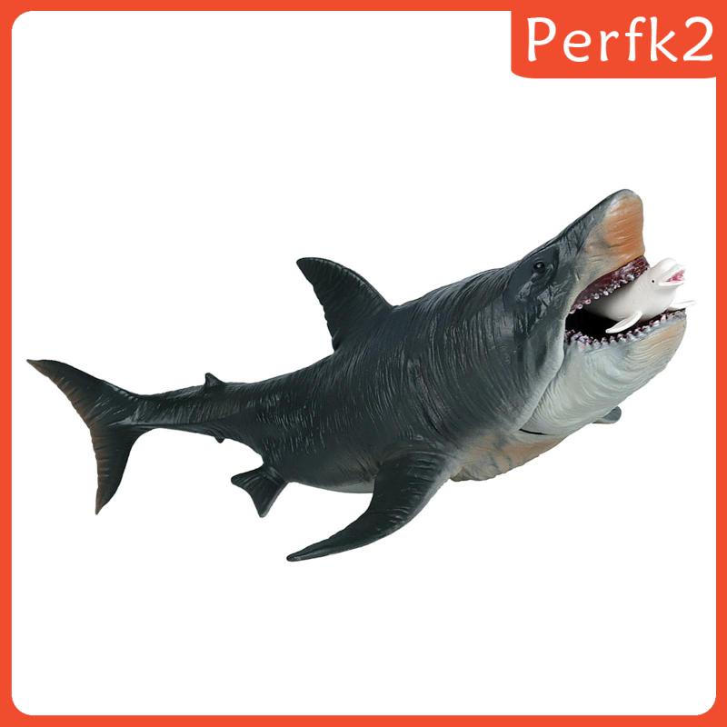 Mô hình cá mập Megalodon chân thật
