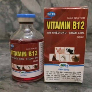 Giải độc, chống sốc cho lan - vitamin B12 50ml