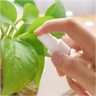 Chai xịt phun sương 30ml, 50ml, 75ml, 100ml