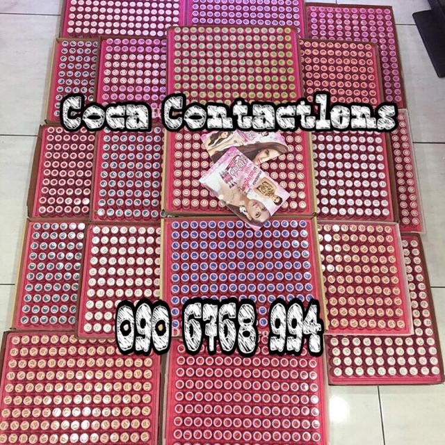 COMBO SỈ 10 LENS + KHAY ĐƠN