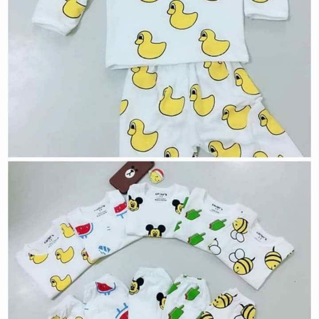 Bộ cater bozip