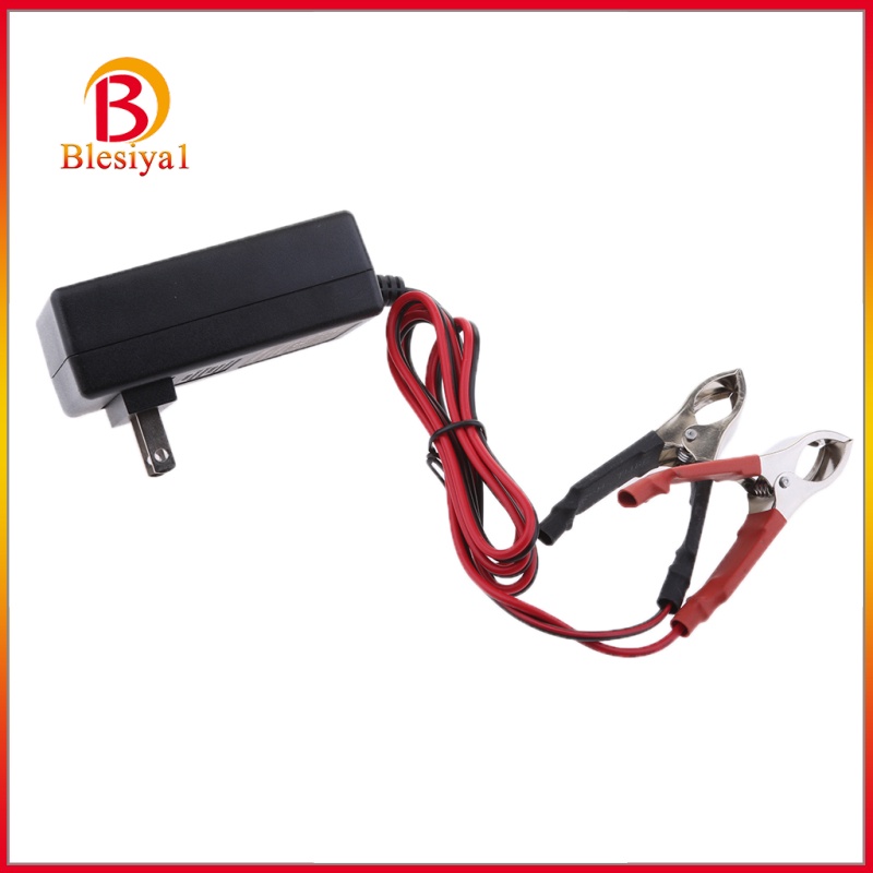 [BLESIYA1]12V 14.6V 1A Lead Acid Battery Charger For Toy Car Motor Quad Bike