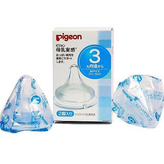 NÚM PIGEON NỘI ĐỊA