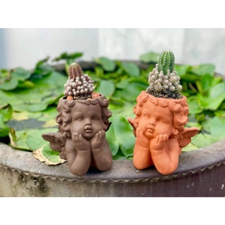 Chậu thiên thần đất nung