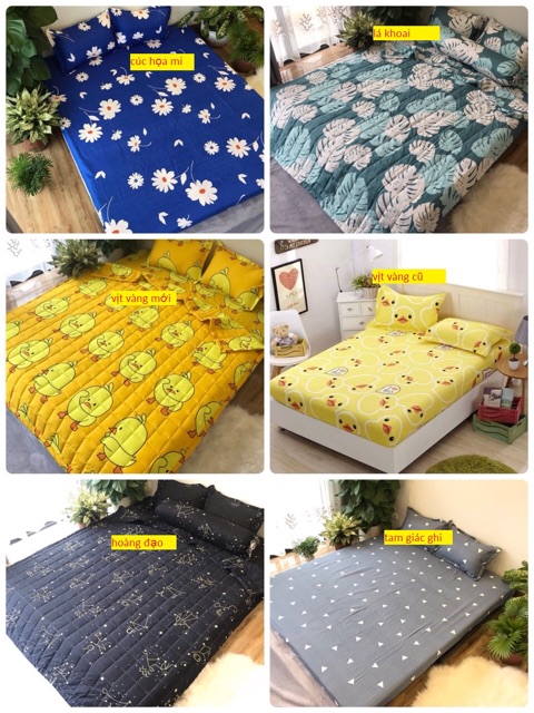 SET GA VÀ 2 VỎ GỐI COTTON POLY 1M8X2M (CHAT CHỌN MẪU) | BigBuy360 - bigbuy360.vn