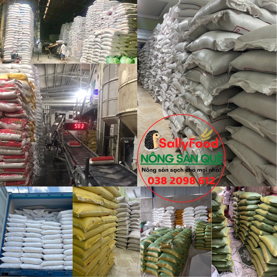 Đậu Phộng Sống Hữu Cơ SallFood 1kg Lạc Nhân Tươi Không Chất Bảo Quản Shop Nông Sản Quê Sạch Sally Food