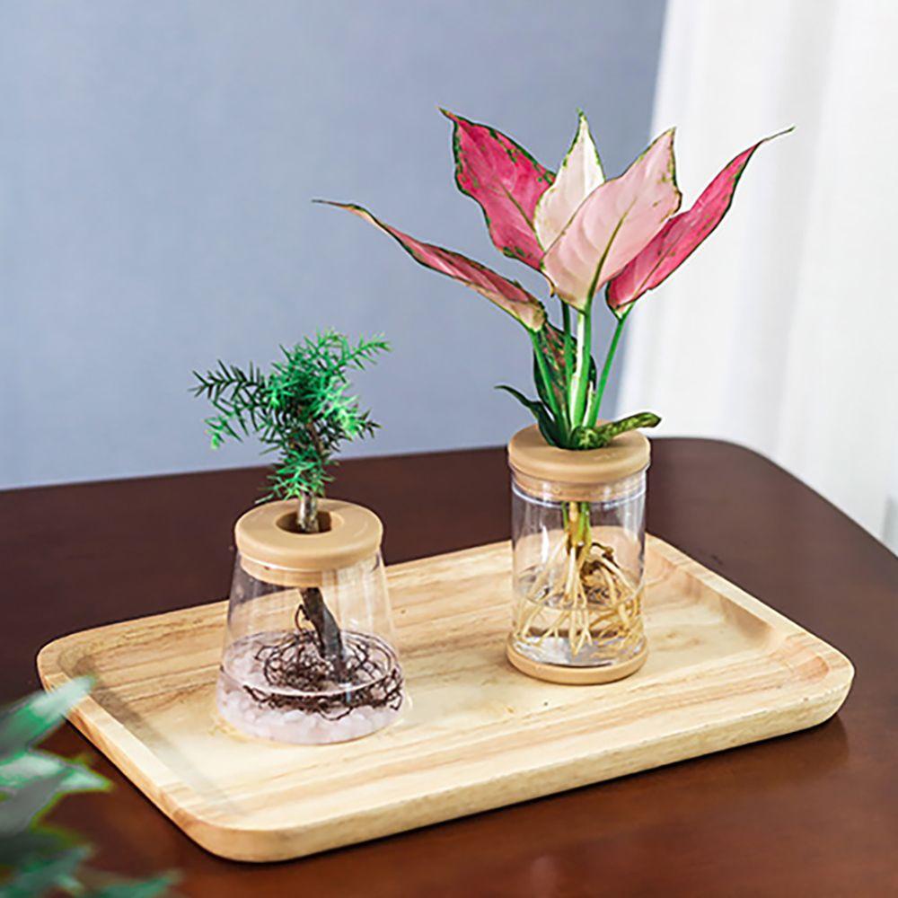 Cây Thủy Tinh Trong Suốt Nhỏ Xinh Tươi Tắn Trang Trí Trong Nhà / Ngoài Trời