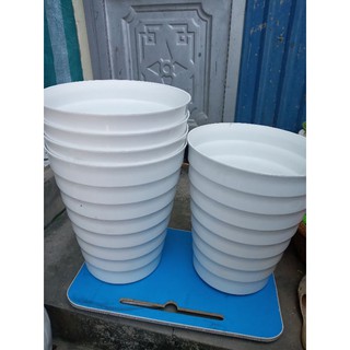 5 cái chậu vân sóng to đại phi 36cm cao 42cm