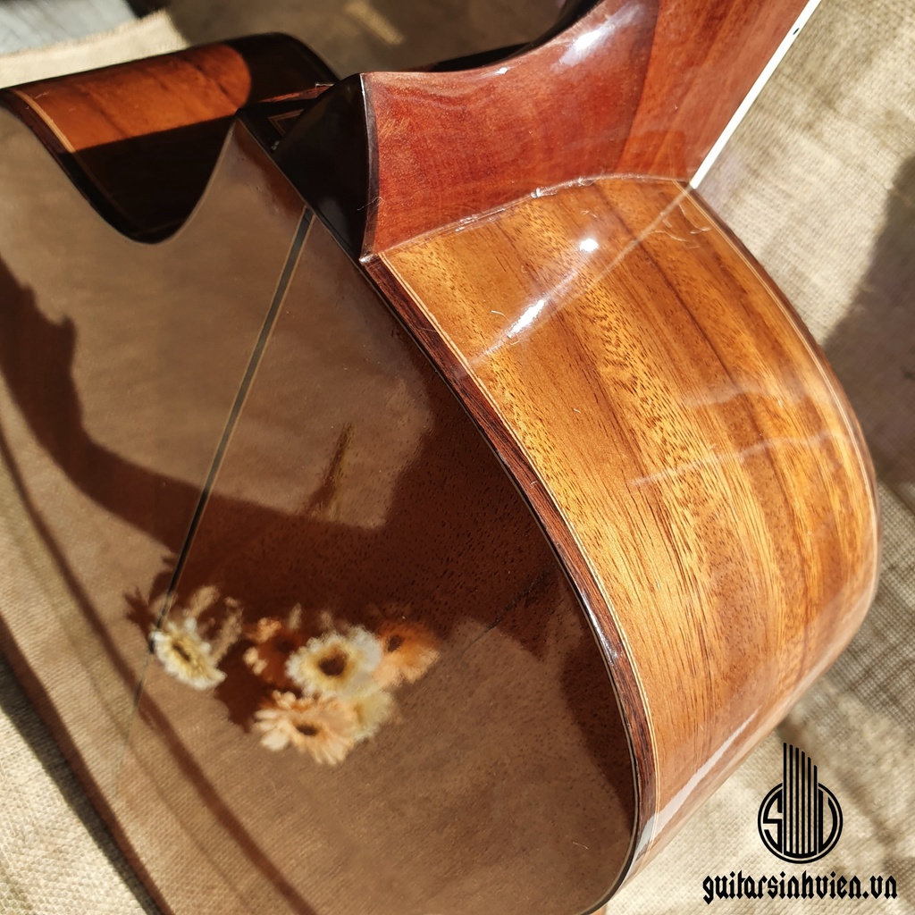 Đàn guitar acoustic SV-A6Đ full gỗ điệp thanh lý nhanh - giá giảm gấp đôi