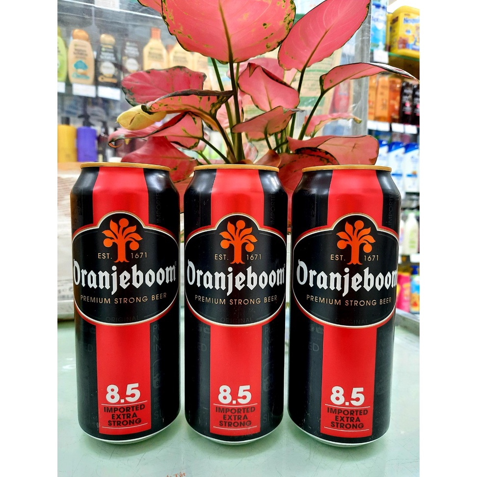 Bia Oranjeboom 8,5% 500ml