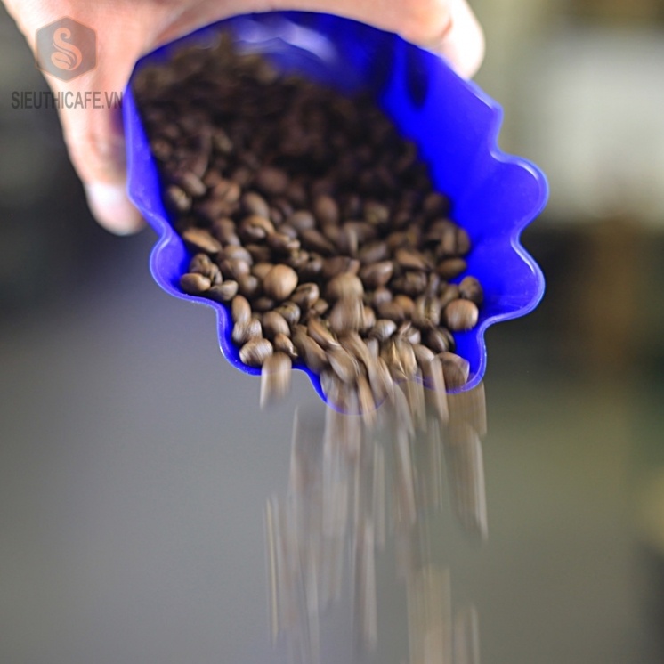 KHAY NHỰA CHỨA HẠT CÀ PHÊ COFFEE CUPPING SAMPLE TRAY – BLUE