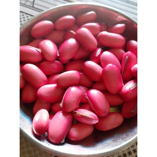 Hạt giống Đậu Kiếm