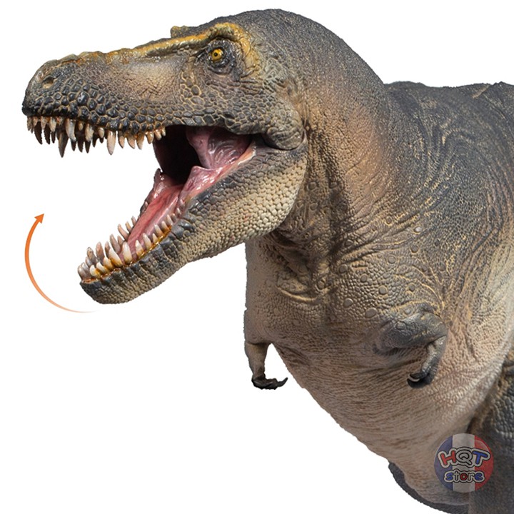 Mô hình Khủng Long Tarbosaurus PNSO 51 2021 Chuanzi tỉ lệ 1/35 chính hãng