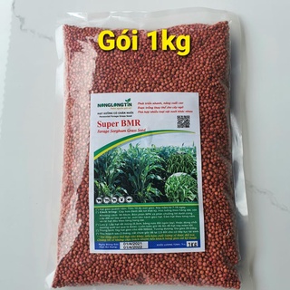Hạt Giống Cỏ Super BMR (Gói 1kg) - Siêu Cao Lương F1 Đảm Bảo Tỉ Lệ Nảy Mầm Cao