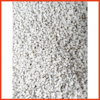 Đá perlite (100g) - Đá trồng Sen Đá chuyên dụng
