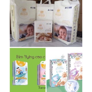 BỈM QUẦN/ DÁN YIYING HƠI THỞ BÔNG/ YIYING HEO/ YIYING TÊN LỬA S72, M60, L52, XL44, XXL40, XXL36