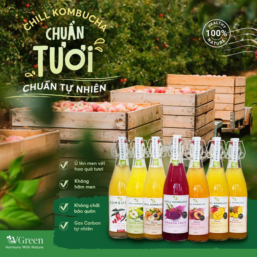 Trà Bất Tử Chill Kombucha ĐÀO 1L -  Trà hoa quả lên men con giống scoby - Foodland