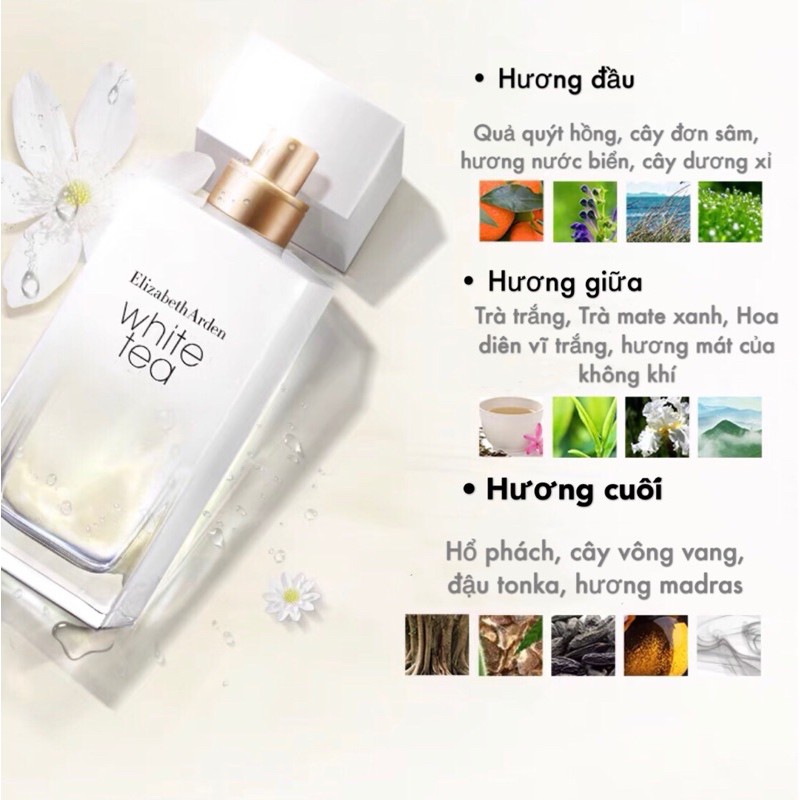 [ Elizabeth Arden ] Bil Shinsegaemall- Nước hoa White Tea EDT