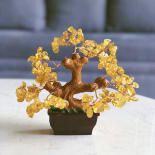 Cây tài lộc thạch anh vàng