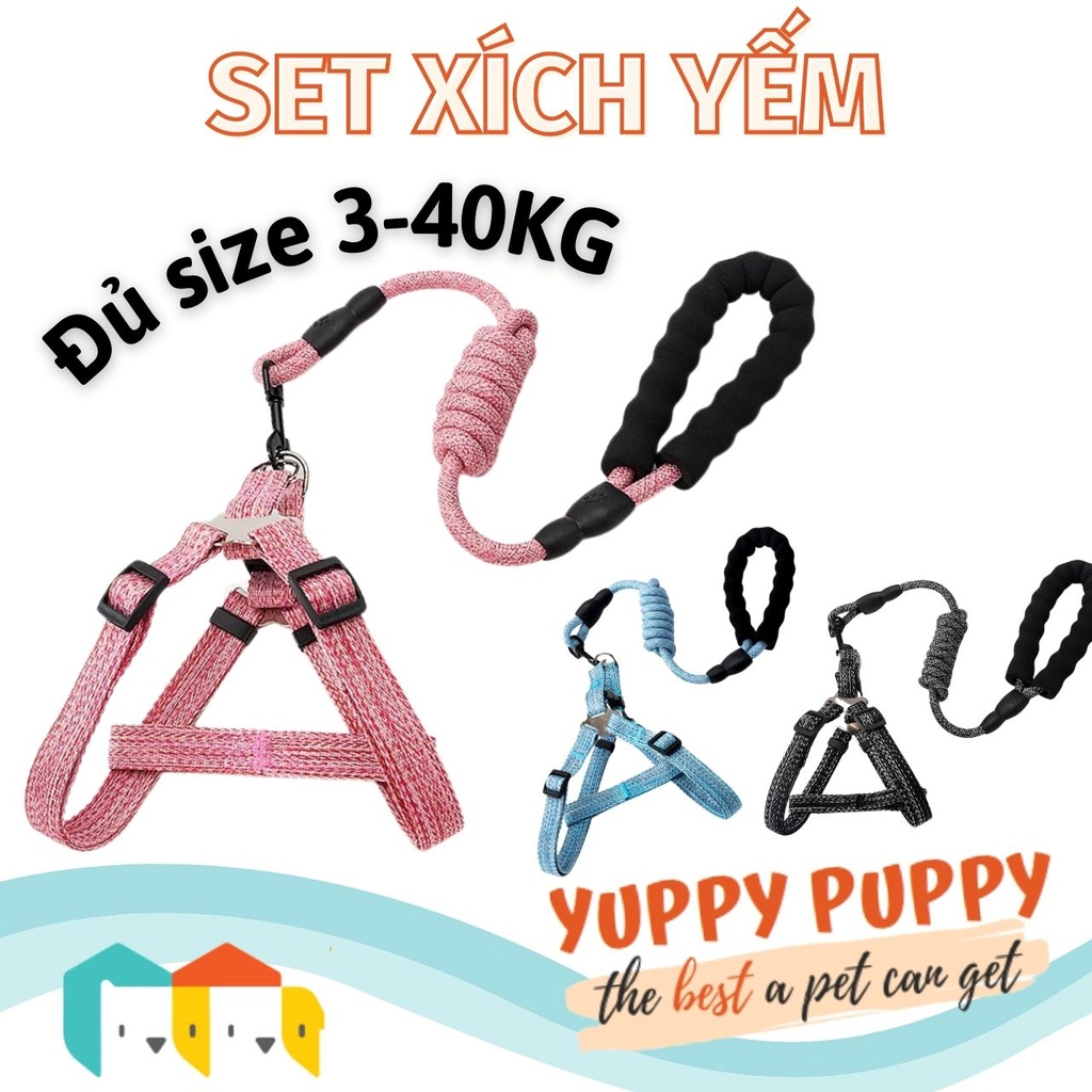 [𝐆𝐢𝐚́ 𝐭𝐮̛𝐨̛𝐧𝐠 𝐭𝐚́𝐜] Hipidog Set Xích yếm &amp; Dây dắt với tay cầm lót cao su mềm cao cấp cho chó / cún