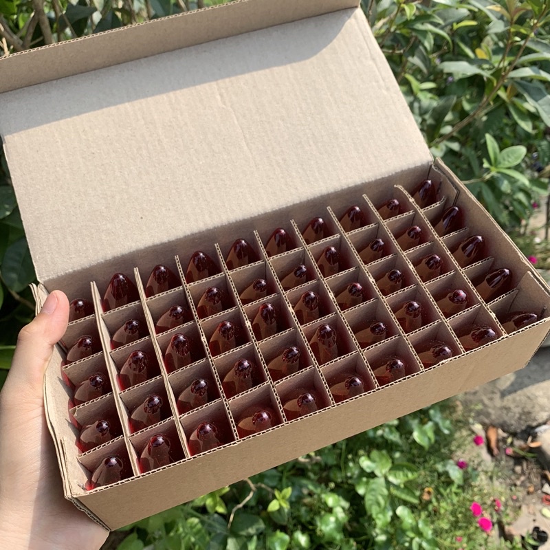 Hộp 50 Quả Nhót  Đỏ , Bóng Đèn Thờ Giá Rẻ