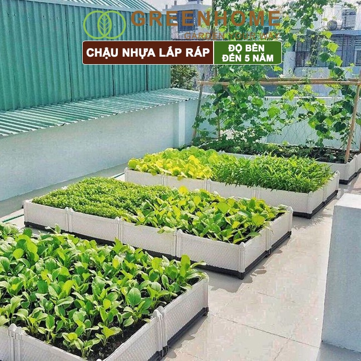 Chậu nhựa lắp ráp Greenhome, nhiều kích thước lựa chọn trồng hoa hồng, cây leo, rau, củ, quả, độ bền 5 năm