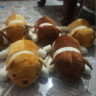 Thú bông: chó pug mặt xệ sz 40 cm