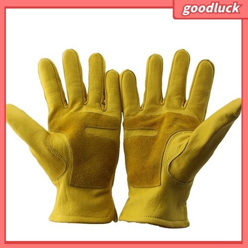 Găng Tay Đi Trượt Tuyết Chống Trượt