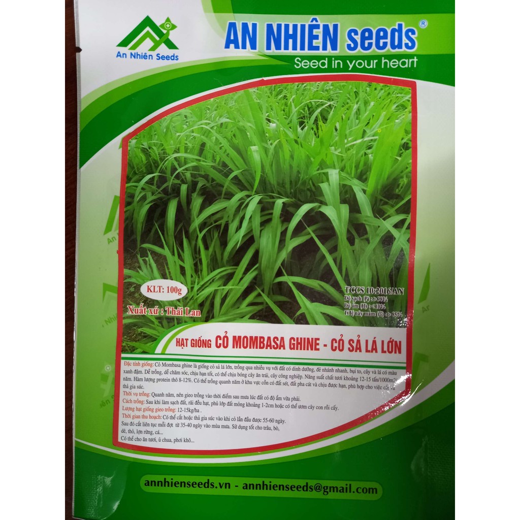 Hạt giống cỏ chăn nuôi Mombasa Ghine (Cỏ Sả Lá Lớn) Túi 100g. Xuất xứ: Thái Lan