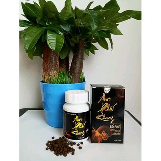 An Phế Mộc An
