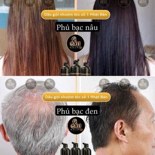 Dầu gội Phủ Bạc Sin Nâu và Sin Đen