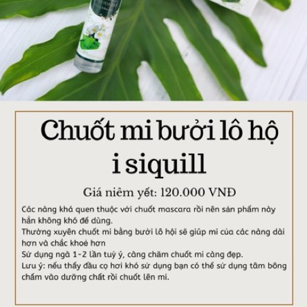 Dưỡng mi bưởi lô hội Siquill ⚡𝘾𝙝𝙞́𝙣𝙝 𝙃𝙖̃𝙣𝙜 100%⚡ HỮU CƠ nhanh dài mi mi chắc khỏe | BigBuy360 - bigbuy360.vn