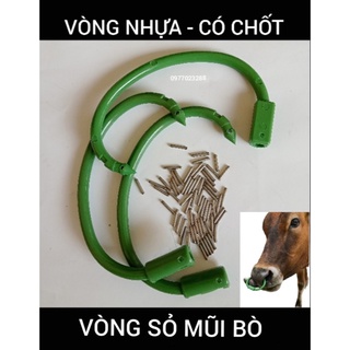 Vòng xỏ mũi cho bò [Có chốt inox]- khuyên xỏ mũi cho bò Vòng Khuyên Mũi Cho Bò - Vòng Khuyên Mũi Cho Gia Súc