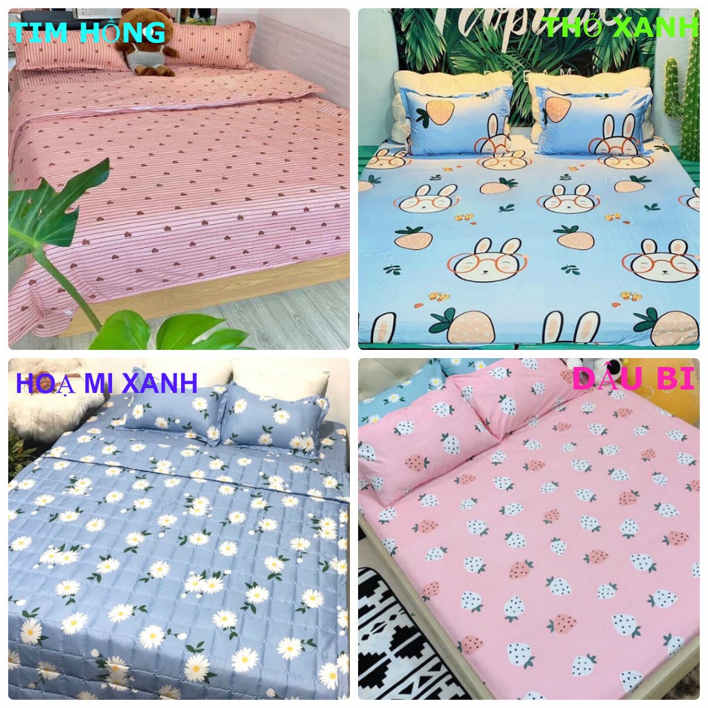 SET GA GỐI POLY COTTON NHIỀU MẪU đầy đủ kích thước | BigBuy360 - bigbuy360.vn