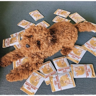 Pate ROYAL CANIN dành riêng cho các bé Poodle 85GR