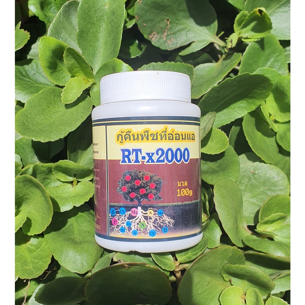 Siêu RẺ- Siêu Dưỡng Cây Suy Yếu RT-X2000 phục hồi cây suy nhược , kích thích sinh trưởng. Kèm HDSD