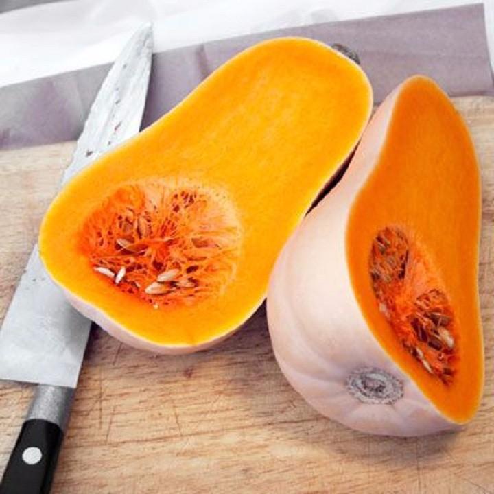 HẠT GIỐNG BÍ MẬT AN NHIÊN F1 AN56 GÓI 100 HẠT -  DỄ TRỒNG, DỄ CHĂM