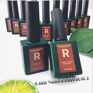 SƠN GEL RENROVER CHUẨN USA BAO TEST