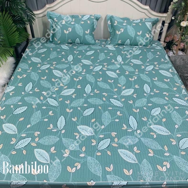 Ga trải giường trần bông 3 lớp cotton poly,Drap trải giường kích thước 1m6,1m8 được chọn mẫu | BigBuy360 - bigbuy360.vn