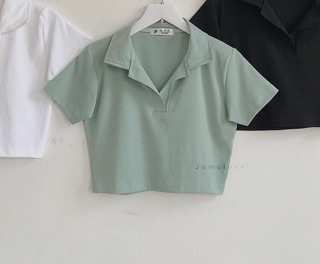 🥑Áo Croptop Cổ Petter Basic