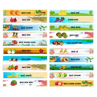 Decal dán cầu thang hoa quả tiếng việt 20 bậc