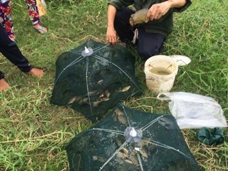 LỒNG Ô BÁT QUÁI ĐÁNH BẮT CÁ 8 CỬA