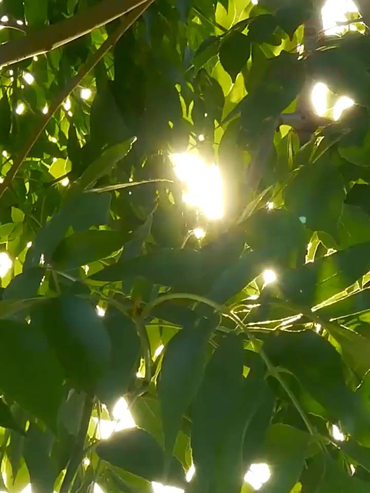 Ô Che Nắng Ô Tô Cao Cấp - Dù Che Nắng Kính Lái Xe Hơi Modeco - Giảm Nóng Bảo Vệ Nội Thất - HÀNG LOẠI 1 | BigBuy360 - bigbuy360.vn