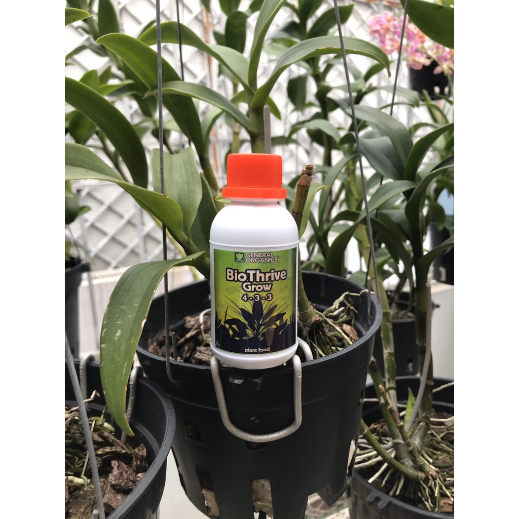 Phân bón hữu cơ Biothrive Grow 4-3-3 100ml hàng Mỹ